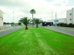 polígono